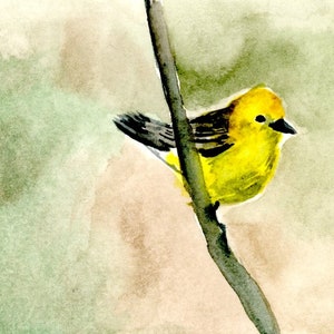 3 ACEO originale MINATURE acquerello Quadri, Uccello su Ramo, Cervo in Prati, Albero nella Tempesta, 2.5x3.5 pollici
