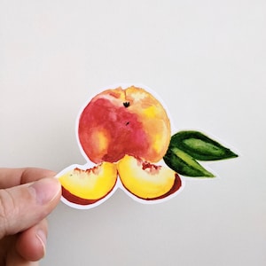 Pegatina de melocotón, vinilo de acuarela, arte frutal, para portátiles, agendas y botellas de agua.