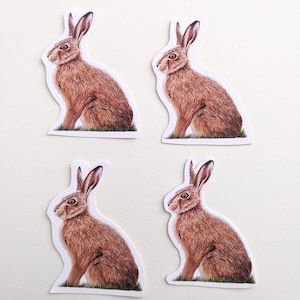 Stickers lièvre, Pack d'autocollants en vinyle lapin, Pour ordinateurs portables, Carnets de notes, Bouteilles d'eau, Stickers lièvre aux crayons de couleur