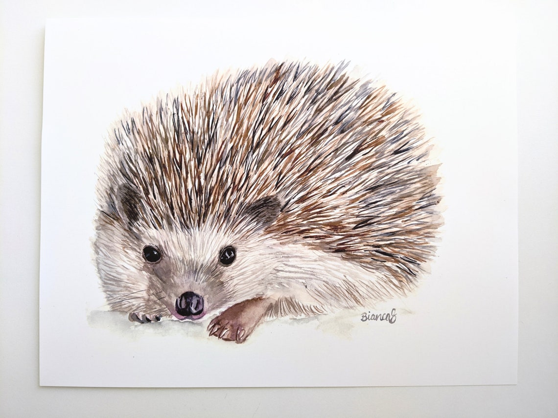 Hedgehog PRINT Watercolor Hedgehog Woodland Art Print - Etsy