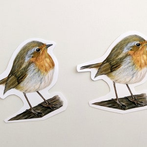Rotkehlchen Aufkleber | Buntstift Rotkehlchen | Vogel Aufkleber | Vinyl-Aufkleber | Abbildung