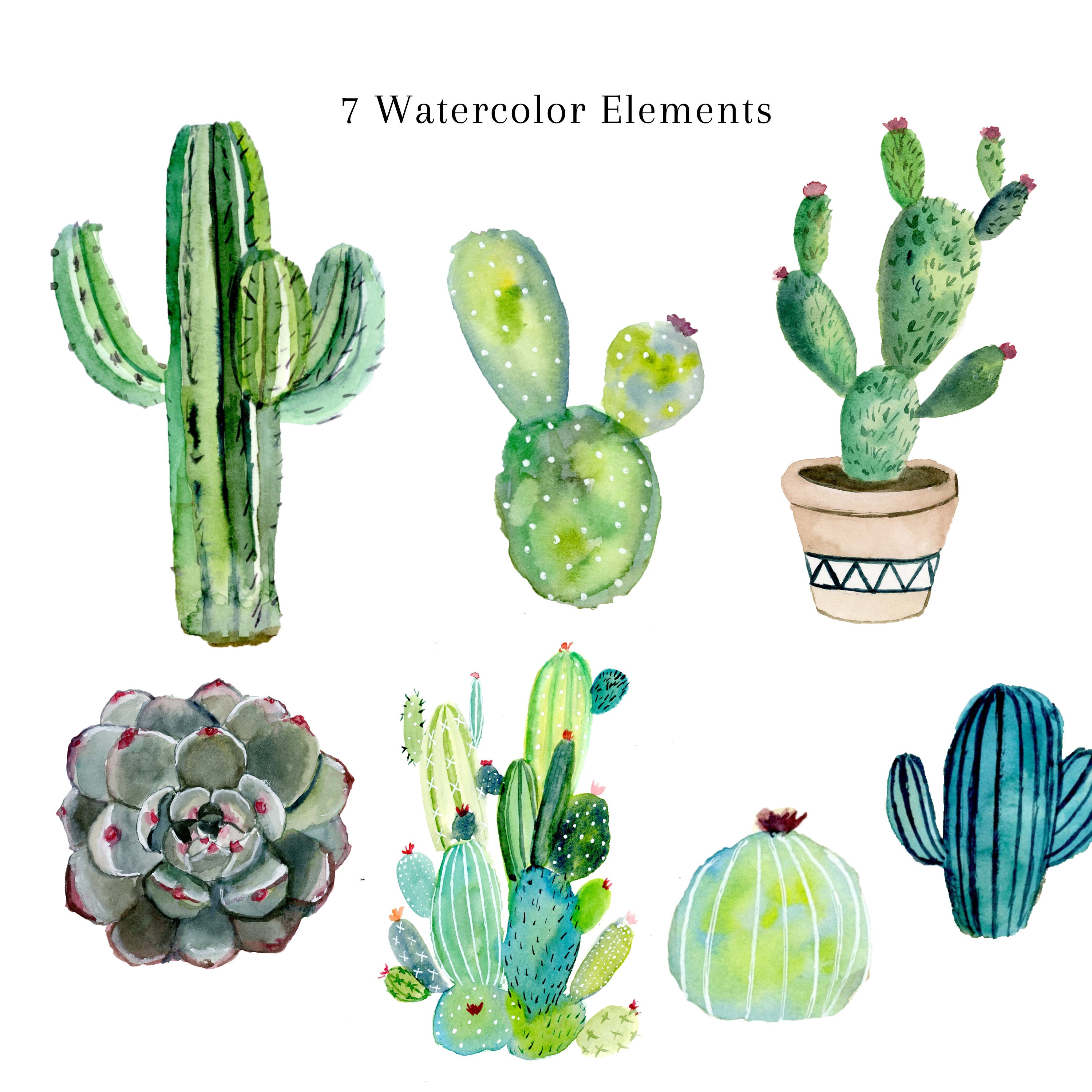 Hand Painted Cactus Clipart, Watercolor Clipart, Succulent ...