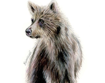 Pode incluir: Um desenho a lápis detalhado de um urso marrom olhando para a esquerda. A pelagem do urso é representada com linhas finas e sombreamento, criando uma textura realista.