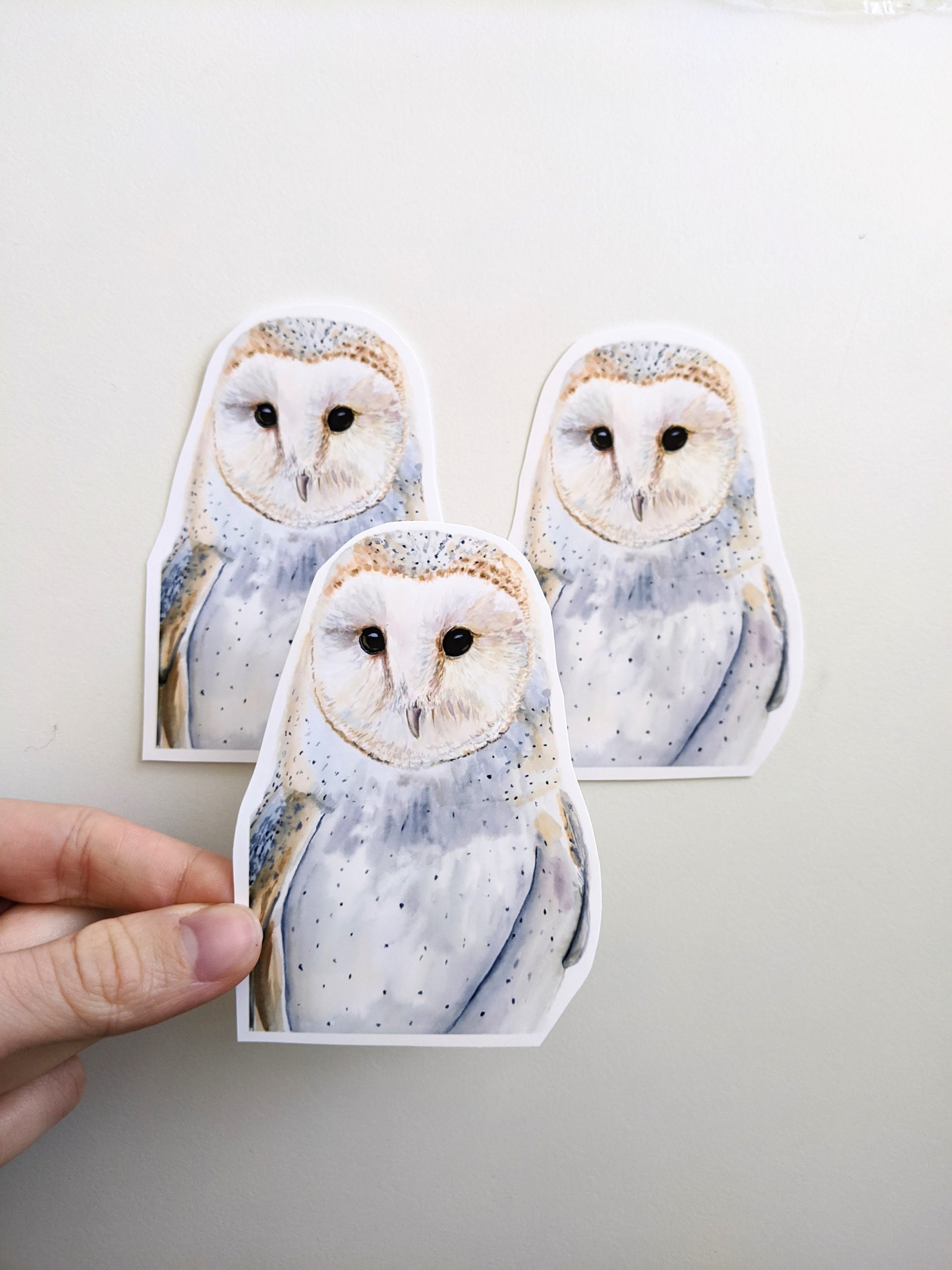 Barn Owl Stickers, Watercolor Vinyl Owl Stickers, For Water Bottles, Laptops, Journals