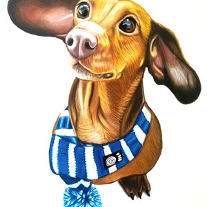 May include: A hand-painted portrait of a brown dachshund wearing a blue and white striped scarf with a blue pom-pom. The dog is looking up with a curious expression.