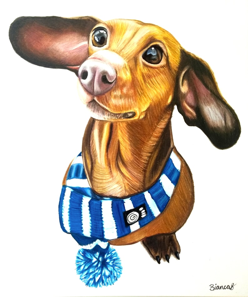 May include: A hand-painted portrait of a brown dachshund wearing a blue and white striped scarf with a blue pom-pom. The dog is looking up with a curious expression.