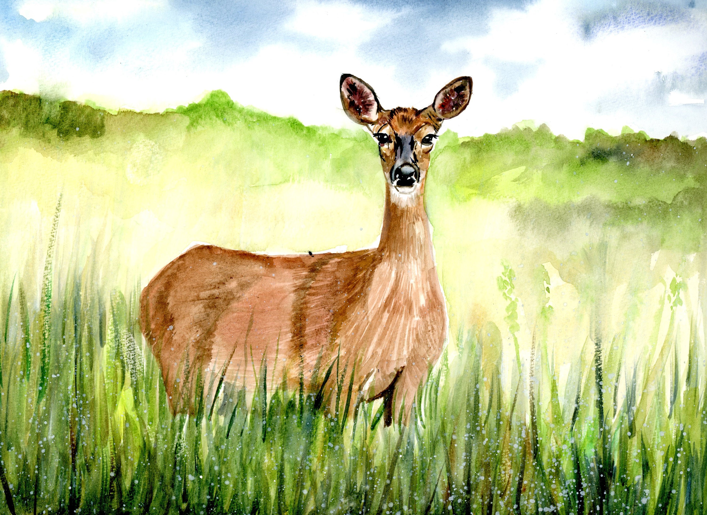 ORIGINAL Watercolor Deer Painting 9x12 Doe Deer in Meadows Etsy