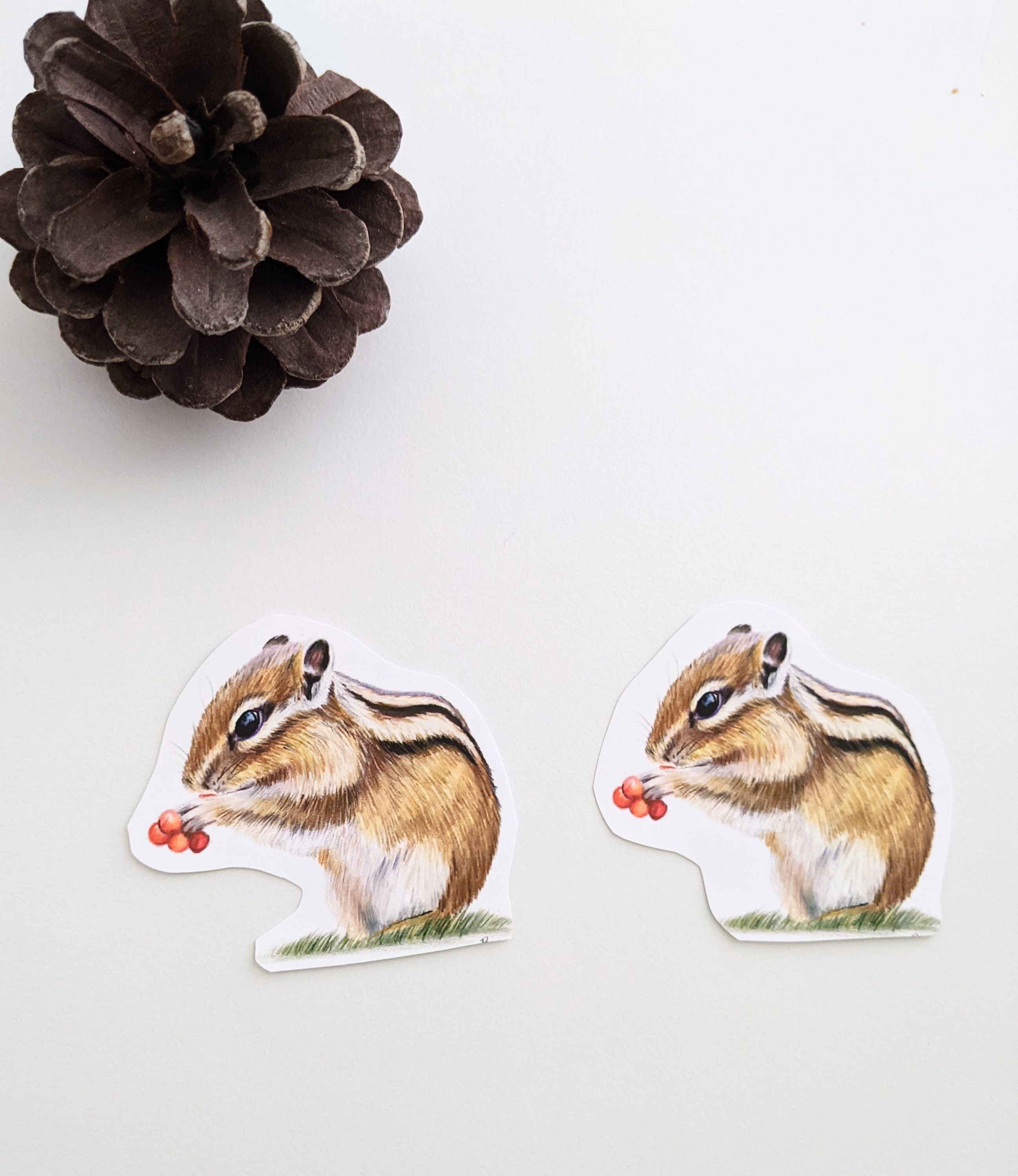 Chipmunk Sticker Chipmunk Sticker | Colored Pencil Sticker | Vinyl Sticker | for Water ...