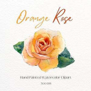 Orange Rose | Hand Painted Watercolor Clipart | Rose Bouquet | 1 PNG File | Wedding Clipart | Flower | Floral Arrangement