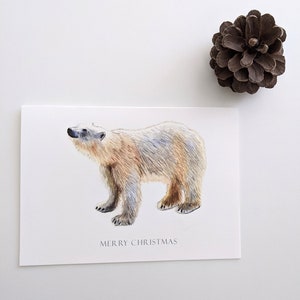 Carte de vœux de l’ours polaire | Carte de Noël | | de cartes et d’enveloppes 5"x7 » | Dessin au crayon de couleur