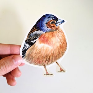 Pegatinas de pájaros, pegatinas de vinilo de pájaros de acuarela, para botellas de agua y computadoras portátiles