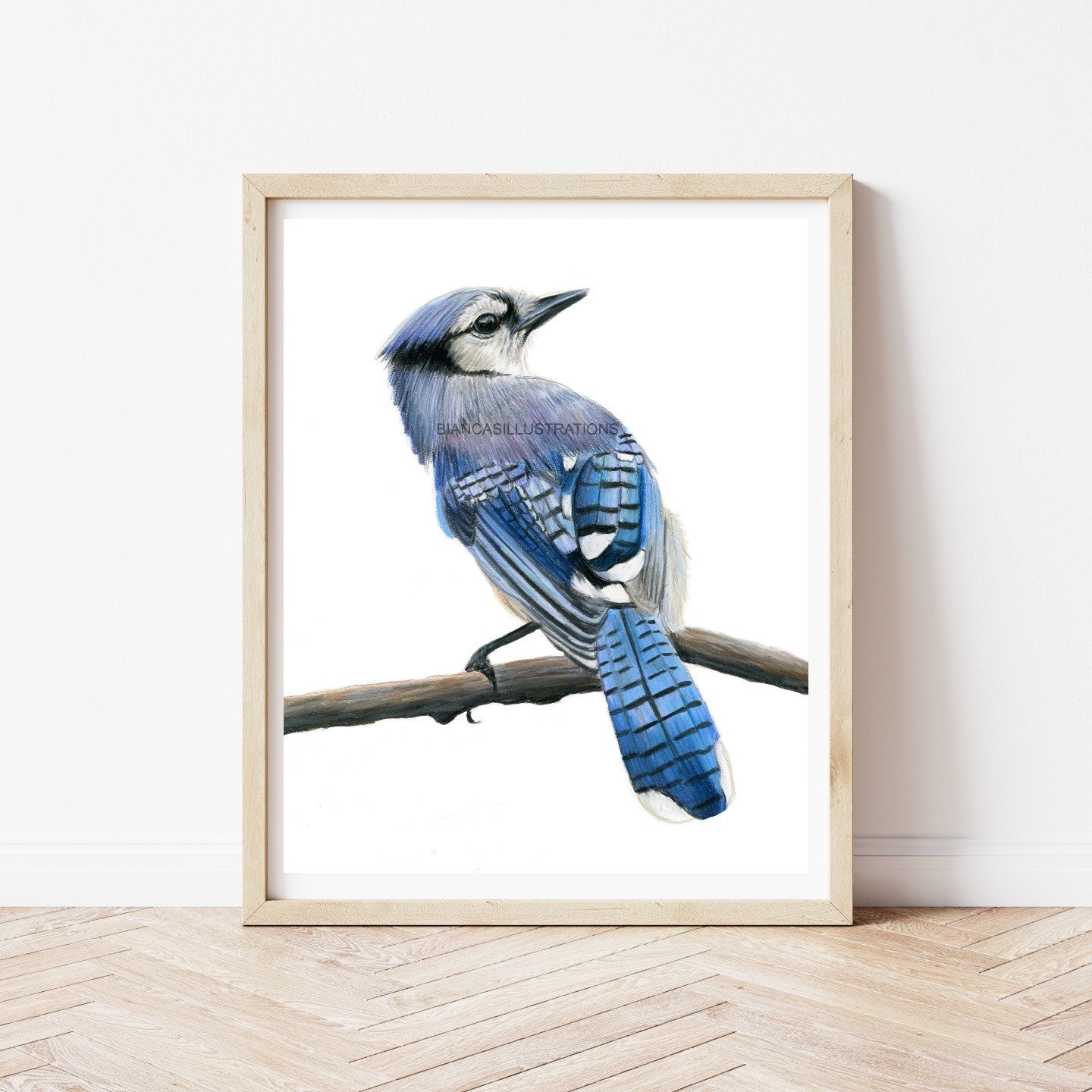 ブルージェイの鳥の絵 | 鳥のアートワーク | 手描き | 色鉛筆アート