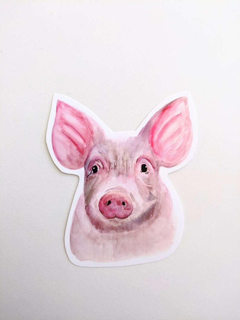 May include: A watercolor painting of a pig's face. The pig has pink ears and a pink snout. The background is white.