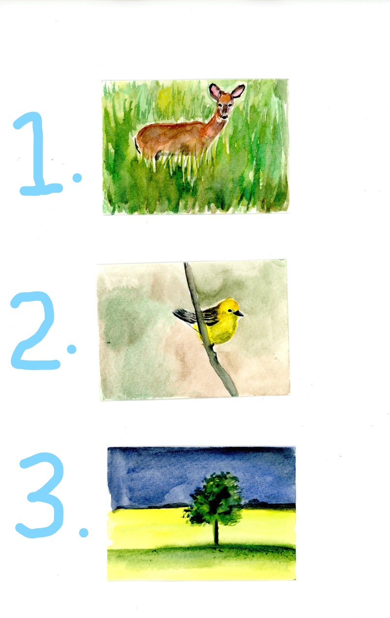 Bird on Branch Tree in the Storm 2.5x3.5 inches Deer in Meadows 3 ACEO Original MINATURE Watercolor Paintings