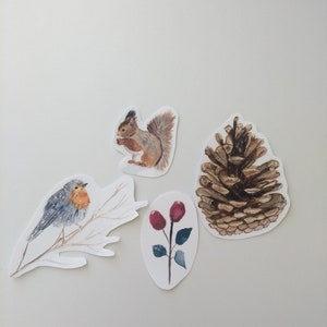 Pode incluir: Quatro ilustra&ccedil;&otilde;es de aquarela em papel branco: um pintarroxo vermelho empoleirado em um galho, um esquilo marrom segurando uma noz, uma pinha marrom e um galho de bagas vermelhas com folhas verdes.