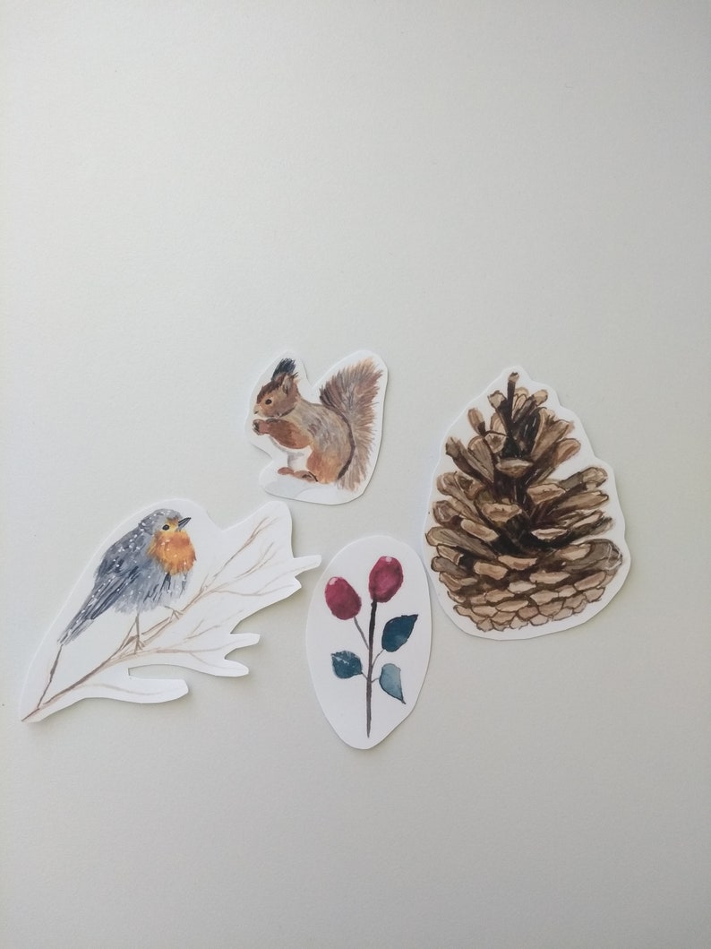 Pode incluir: Quatro ilustra&ccedil;&otilde;es de aquarela em papel branco: um pintarroxo vermelho empoleirado em um galho, um esquilo marrom segurando uma noz, uma pinha marrom e um galho de bagas vermelhas com folhas verdes.