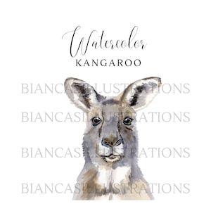 Kangourou Aquarelle Clipart | | peint à la main Illustration | | graphique Art animalier | Téléchargement instantané | Fond transparent | Fichier PNG