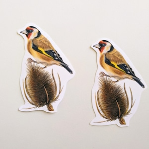 Vogelstickers distelvink, vinylstickers, kleurpotloodvogelkunst, voor waterflessen en laptops