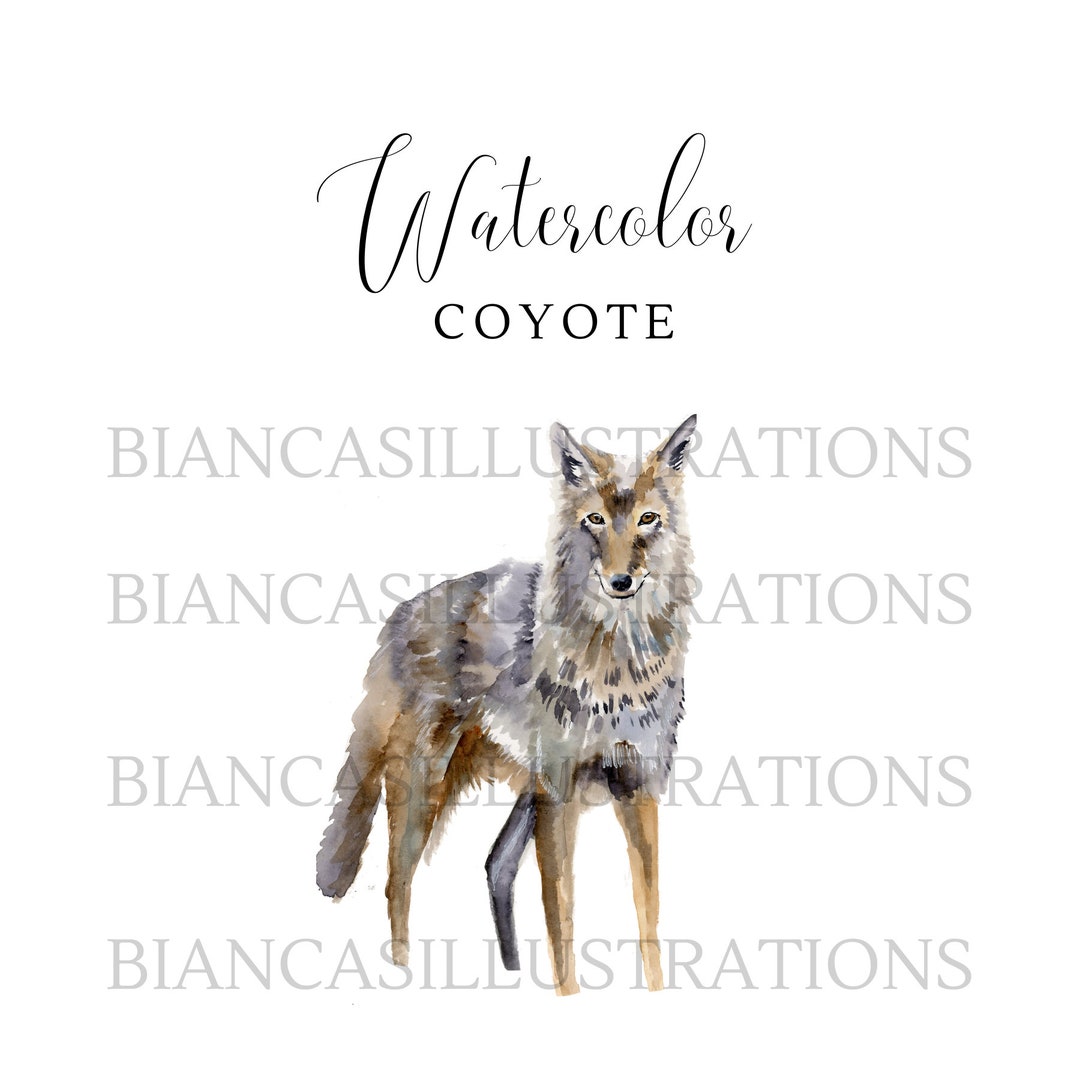 Coyote Watercolor Clipart Hand Painted Illustration Graphic Wildlife
