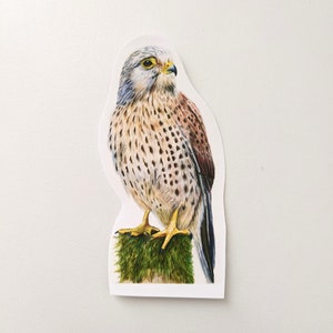 Adesivo Kestrel | Adesivo de vinil | Lápis de cor Kestrel | Para garrafas de água, laptops, diários
