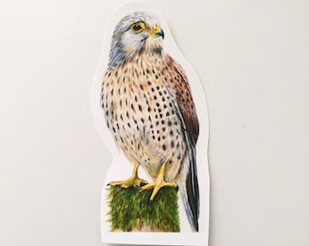 Naklejka Kestrel | Naklejka winylowa | Kolorowy ołówek Kestrel | Na butelki z wodą, laptopy, dzienniki