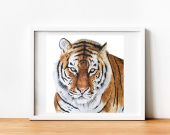 虎の絵、オリジナルの色鉛筆アートワーク、野生動物アート、手描き、11