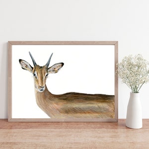 Impala Drawing | Colored Pencil Artwork | Hand Drawn Illustration | Deer Art | Realistic Drawing | African Wildlife | 7"x10"