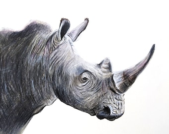 May include: A detailed pencil drawing of a rhinoceros's head and horn. The rhinoceros is facing to the right, with its horn pointing up and to the right. The drawing is in shades of grey, with some subtle blue tones.