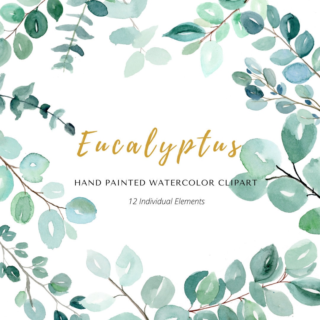 Eucalyptus Greenery Watercolor Clip Art, Green Foliage Wedding ...