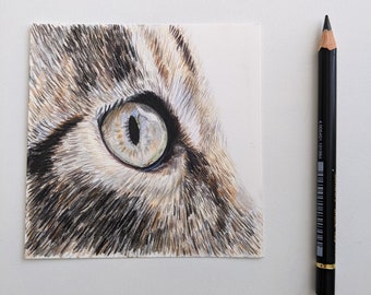 Cat Eye Study | Colored Pencil Cat Eye | Realistic Drawing | 4"x4"