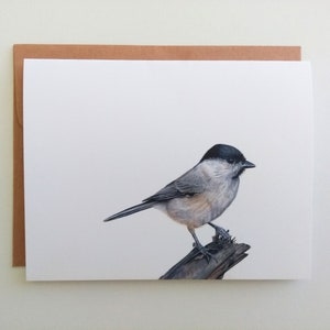 Cartão de felicitações de pássaro Marsh Tit // Cartão de aniversário de pássaro A2 // Interior em branco // Lápis colorido Marsh Tit