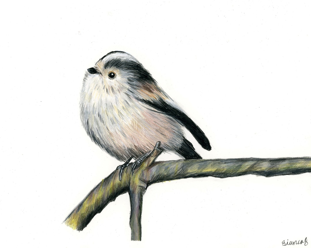 エナガ花鳥絵 エナガ花鳥絵 エナガの鳥の絵、オリジナルアートワーク、手描きの