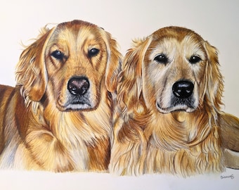 Custom Colored Pencil Pet Portraits, Realistic Dog and Cat Commissions, Detailed Pet Portrait From Photo