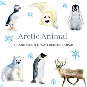 6 Aquarelle Arctic Clipart, Cute Animal Clipart, Utilisation commerciale, Harp Seal PNG, Polar Bear Cub Clip art, Nursery Art, Téléchargements numériques