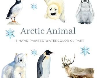 6 Watercolor Arctic Clipart, Cute Animal Clipart, Commercial Use, Harp Seal PNG, Polar Bear Cub Clip art, Nursery Art, Digital Downloads