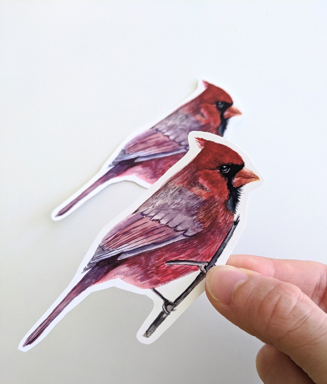 Cardinal Sticker, Watercolor Cardinal Bird Vinyl Sticker, for Water ...