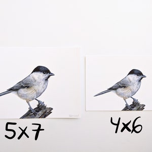 May include: Two framed prints of a black-capped chickadee perched on a branch. The print on the left is 5x7 inches, and the print on the right is 4x6 inches.