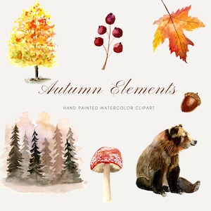 Herbst Aquarell Clipart, Herbst Clipart, Kürbisse, Bär, Nebelwald, Eichel, Digitale Downloads, Elemente