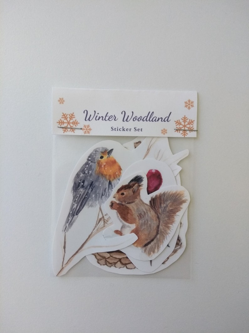 Pode incluir: Um conjunto de adesivos de inverno na floresta com um pintarroxo, um esquilo, uma pinha e uma baga vermelha. Os adesivos est&atilde;o em um fundo de pl&aacute;stico transparente com um cabe&ccedil;alho branco que diz "Winter Woodland Sticker Set".