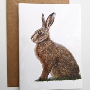 Carte de voeux de lièvre |  Carte lièvre 5 x 7 po | Blanc à l'intérieur