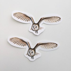 Stickers chouette effraie des clochers volants | Dessin d'oiseau au crayon de couleur | Nature | Sticker en vinyle hibou | Pour bouteilles d'eau, agendas, ordinateurs portables