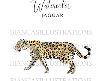 Jaguar Watercolor Clipart | Hand Painted | Illustration | Graphic | Wildlife Art | Instant Download | Transparent Background | PNG File