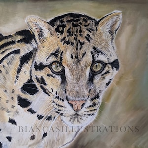 Dessin léopard nébuleux | Dessin au pastel sec | Oeuvre d&#39;art au crayon pastel | Art animalier | Décoration murale | 12&quot;x15,5&quot; | ORIGINALE