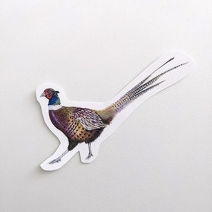 Pegatinas de faisán / Dibujo de pájaro a lápiz de color / Dibujado a mano / Pegatinas de vinilo / Para botellas de agua, computadoras portátiles, diarios