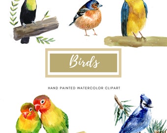 Watercolor Birds Clipart, Transparent Background, Colorful Birds, Commercial Use, Watercolor Clipart, Cardinal, Toucan, Blue Jay, Love Birds