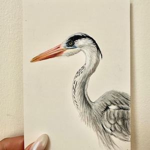 Crane Bird Drawing | Colored Pencil | 4&quot;x6&quot; ORIGINAL