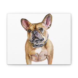 Adorable French Bulldog Watercolor Canvas Art Print