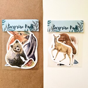 Adesivos Pacote Surpresa // 4 adesivos de vinil variados // Adesivos aquarela para laptops, diários ou garrafas de água