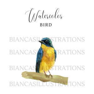 Bird Watercolor Clipart | Hand Painted | Illustration | Graphic | Bird Art | Instant Download | Transparent Background | PNG File