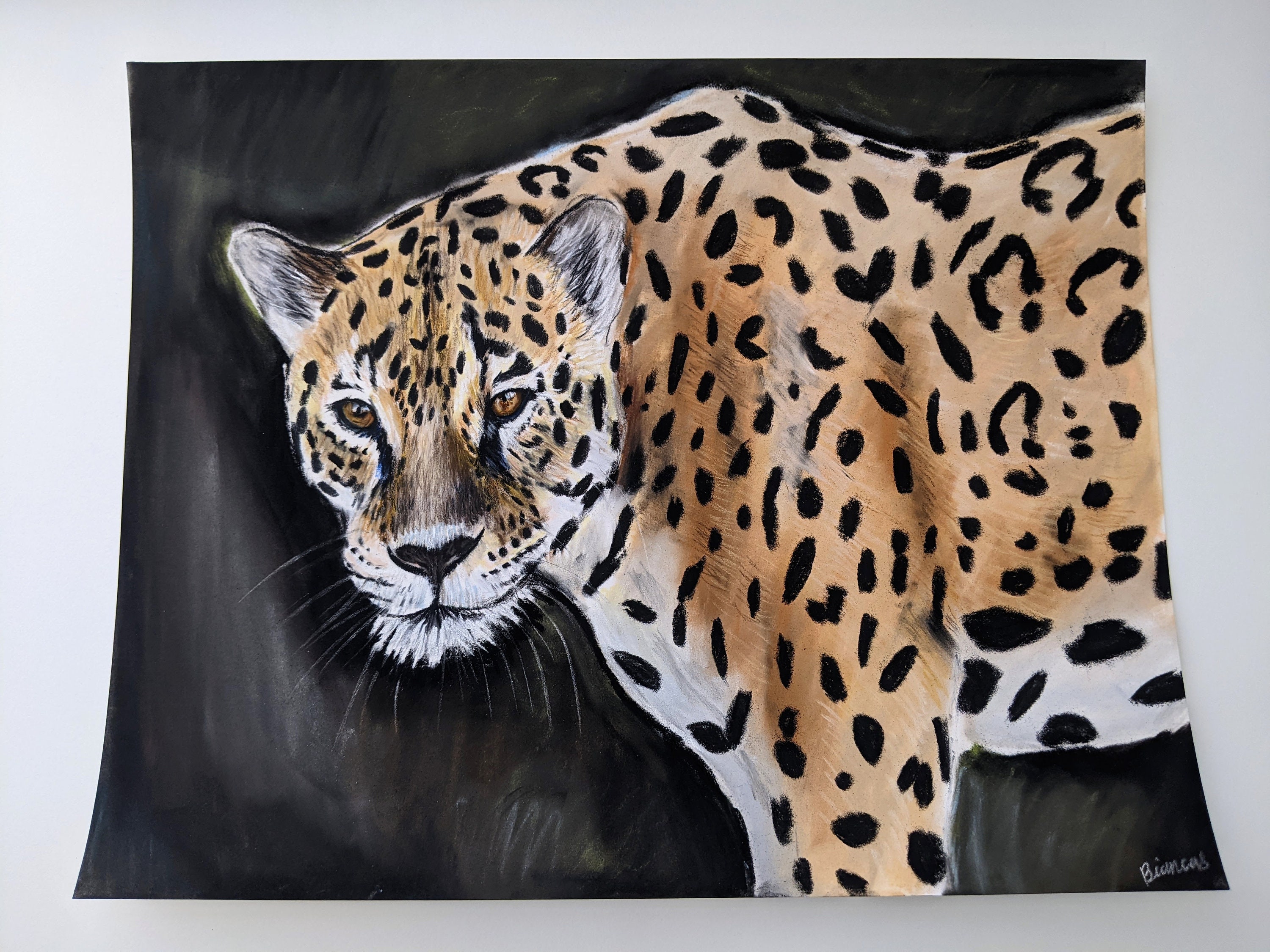 ジャガーの絵 | 写実的な絵画 | オリジナルアートワーク | 11